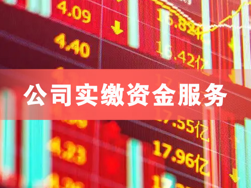广元公司实缴资金服务