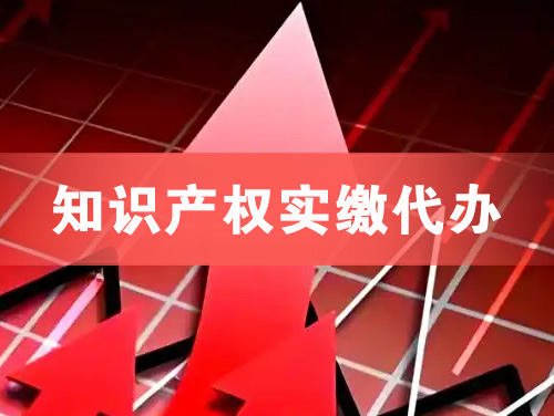 广元知识产权实缴资本代办